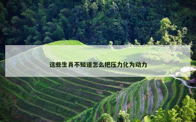 这些生肖不知道怎么把压力化为动力
