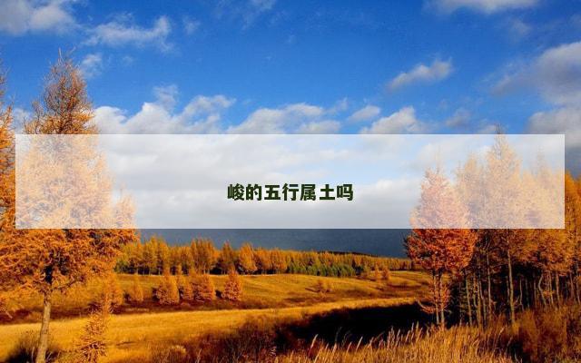峻的五行属土吗