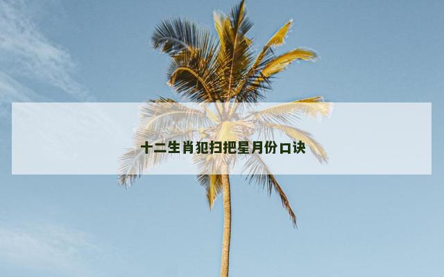 十二生肖犯扫把星月份口诀