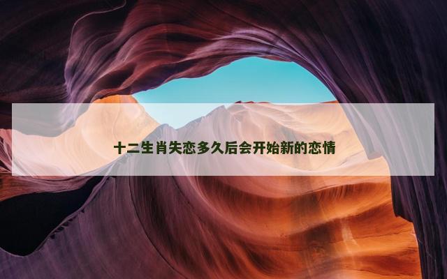 十二生肖失恋多久后会开始新的恋情