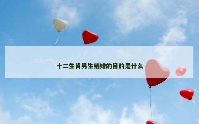 十二生肖男生结婚的目的是什么