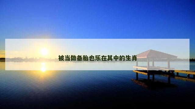 被当做备胎也乐在其中的生肖