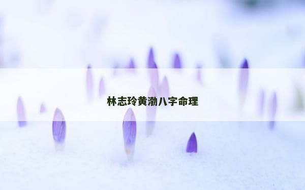 林志玲黄渤八字命理