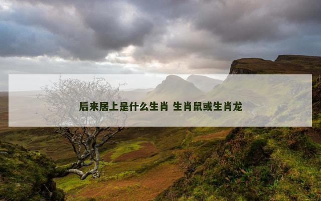 后来居上是什么生肖 生肖鼠或生肖龙