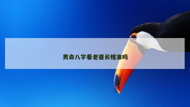 男命八字看老婆长相准吗