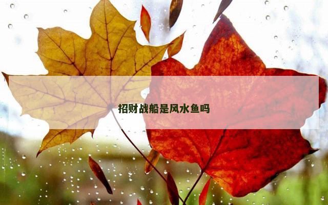 招财战船是风水鱼吗