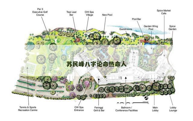 苏民峰八字论命热命人