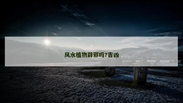 风水植物辟邪吗?吉凶