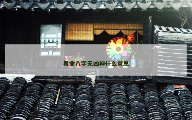 男命八字无凶神什么意思