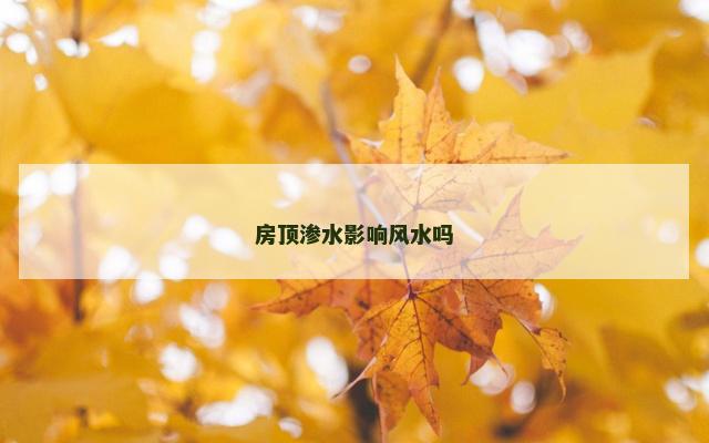 房顶渗水影响风水吗