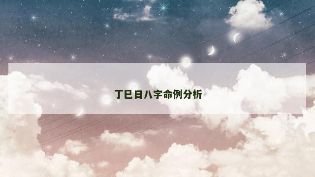 丁巳日八字命例分析