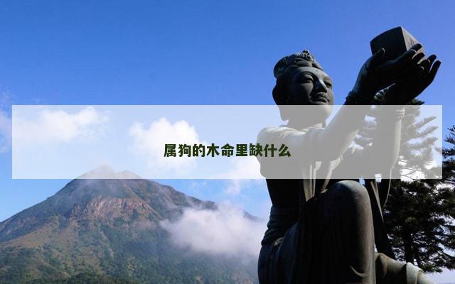 属狗的木命里缺什么