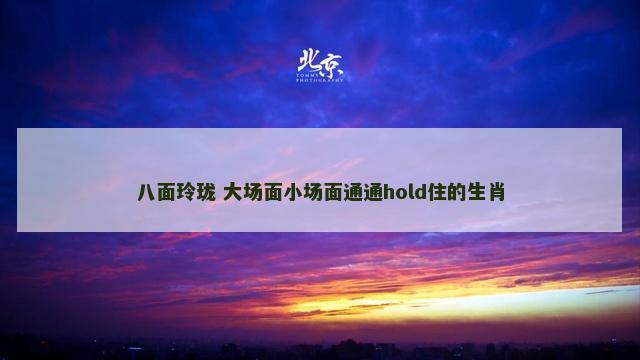 八面玲珑 大场面小场面通通hold住的生肖