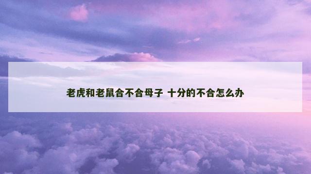 老虎和老鼠合不合母子 十分的不合怎么办