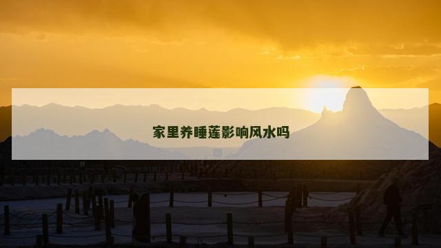 家里养睡莲影响风水吗