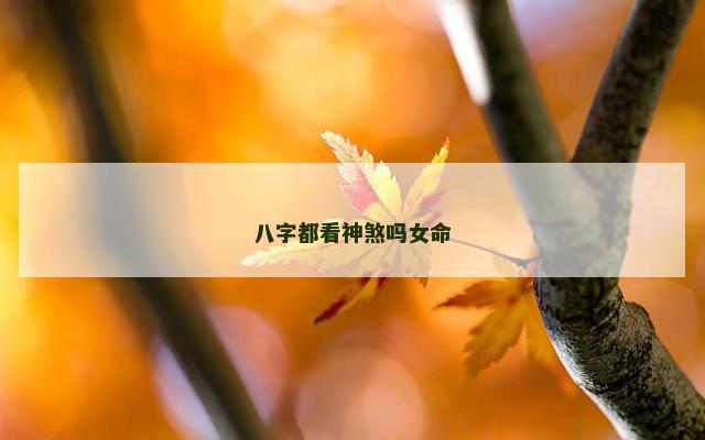 八字都看神煞吗女命