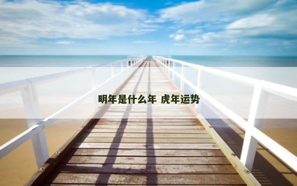 明年是什么年 虎年运势