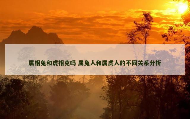 属相兔和虎相克吗 属兔人和属虎人的不同关系分析