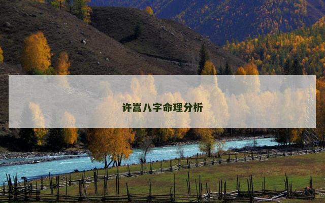 许嵩八字命理分析