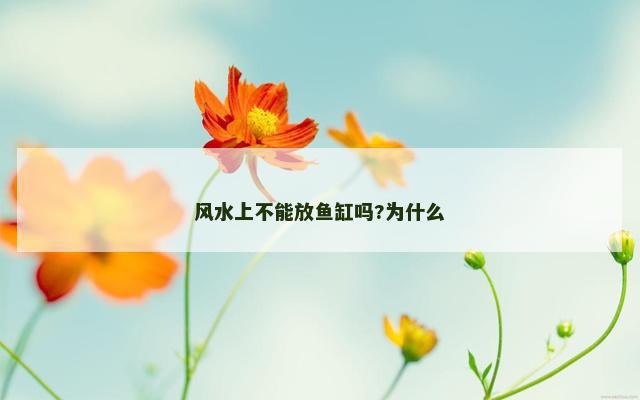 风水上不能放鱼缸吗?为什么