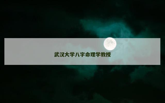 武汉大学八字命理学教授