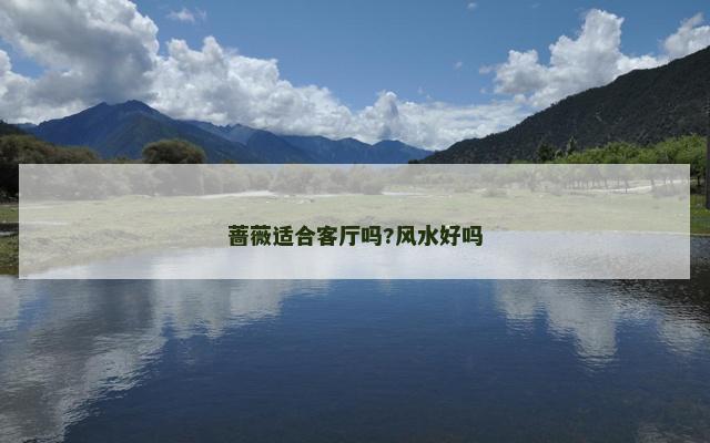 蔷薇适合客厅吗?风水好吗
