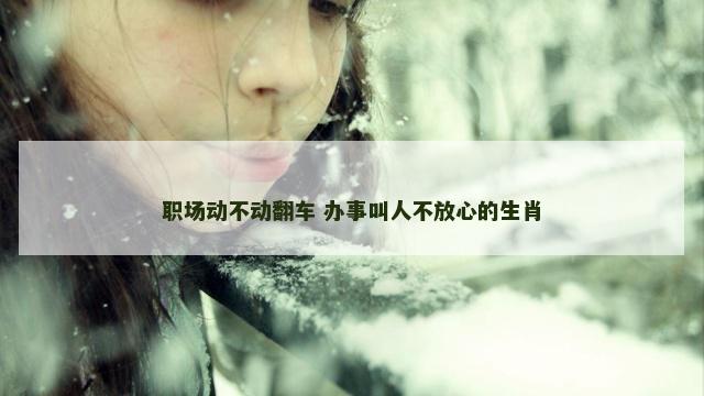 职场动不动翻车 办事叫人不放心的生肖
