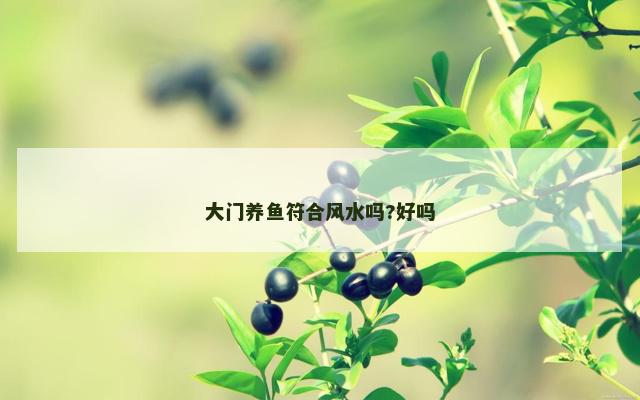 大门养鱼符合风水吗?好吗