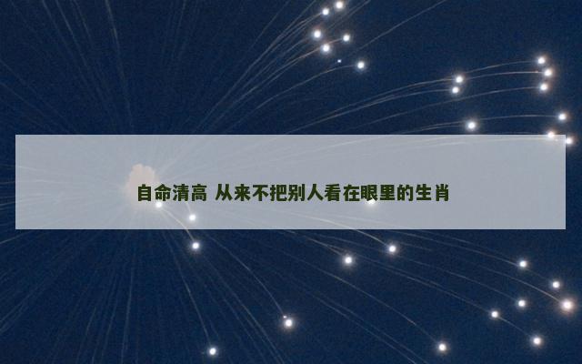 自命清高 从来不把别人看在眼里的生肖