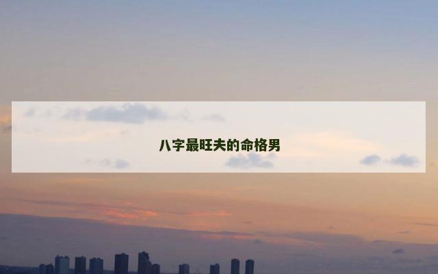 八字最旺夫的命格男