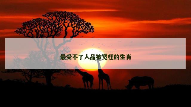 最受不了人品被冤枉的生肖
