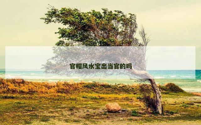 官帽风水宝出当官的吗
