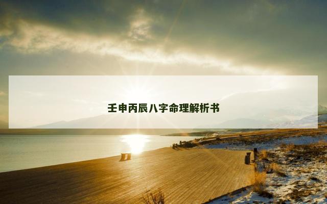 壬申丙辰八字命理解析书