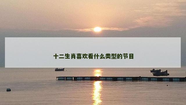 十二生肖喜欢看什么类型的节目