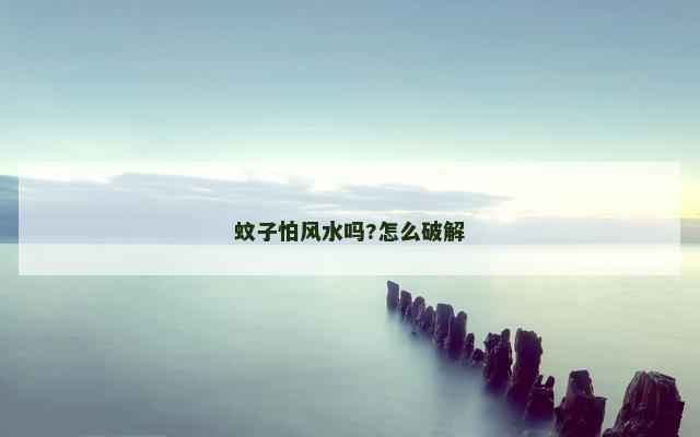 蚊子怕风水吗?怎么破解