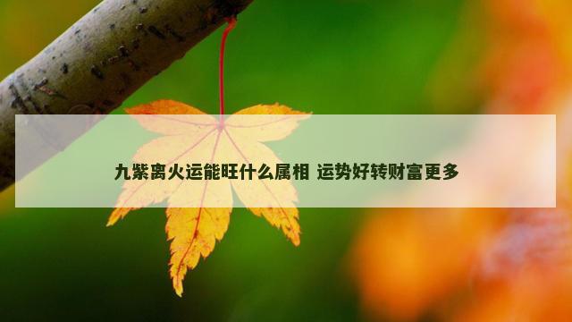 九紫离火运能旺什么属相 运势好转财富更多