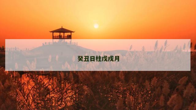 癸丑日柱戊戌月