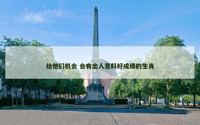 给他们机会 会有出人意料好成绩的生肖