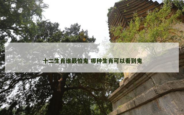 十二生肖谁最怕鬼 哪种生肖可以看到鬼