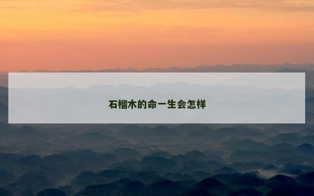 石榴木的命一生会怎样