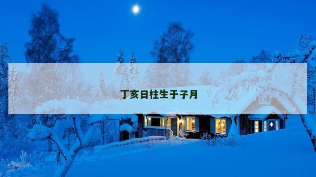 丁亥日柱生于子月