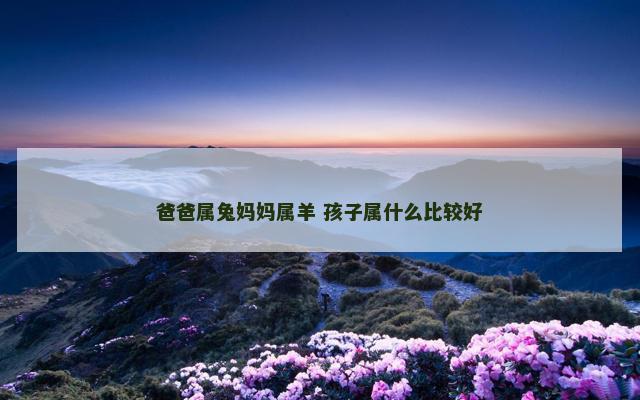 爸爸属兔妈妈属羊 孩子属什么比较好