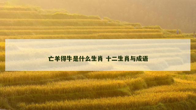 亡羊得牛是什么生肖 十二生肖与成语