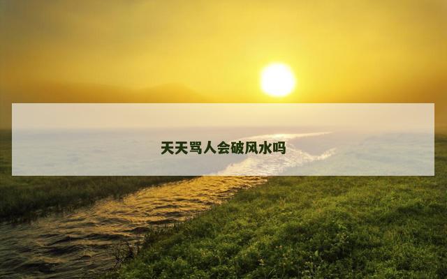 天天骂人会破风水吗