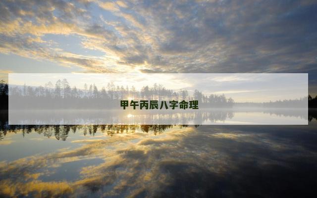 甲午丙辰八字命理