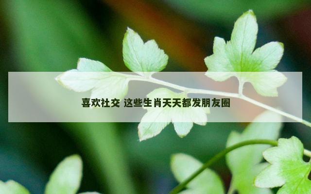 喜欢社交 这些生肖天天都发朋友圈