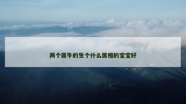 两个属牛的生个什么属相的宝宝好