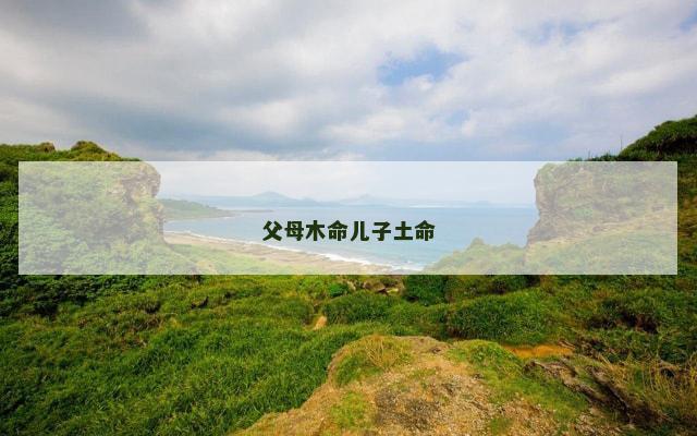 父母木命儿子土命