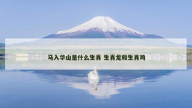 马入华山是什么生肖 生肖龙和生肖鸡