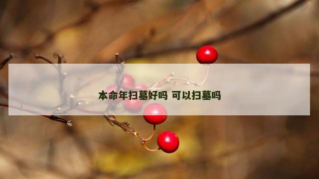 本命年扫墓好吗 可以扫墓吗